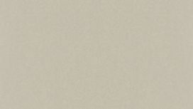 גליל טפט ראש 501155