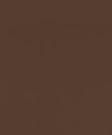 גליל טפט ראש 752663