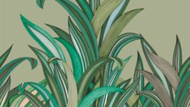 גליל טפט ראש 542226