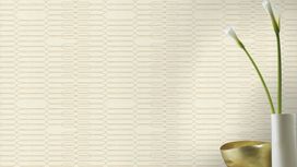 גליל טפט ראש 531237