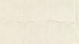 גליל טפט ראש 806304