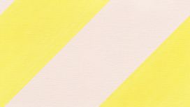 גליל טפט ראש 531619