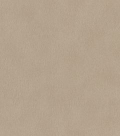 גליל טפט ראש 751055