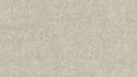 גליל טפט ראש 551778