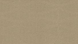 גליל טפט ראש 529876