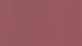 גליל טפט ראש 834420