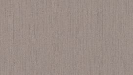 גליל טפט ראש 536140