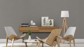 גליל טפט ראש 448627