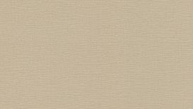 גליל טפט ראש 449815