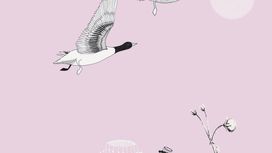 גליל טפט ראש 532012