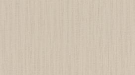 גליל טפט ראש 535235