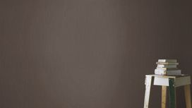 גליל טפט ראש 528572