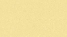 גליל טפט ראש 740127