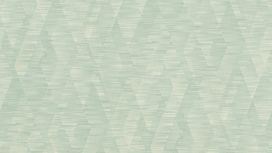 גליל טפט ראש 960839