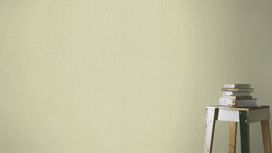 גליל טפט ראש 639667