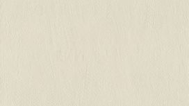 גליל טפט ראש 540819