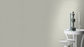 גליל טפט ראש 550436