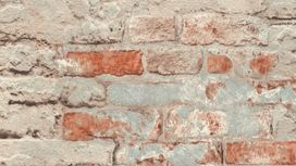 גליל טפט ראש 649420