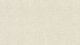 גליל טפט ראש 541342