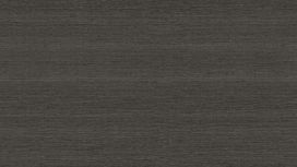 גליל טפט ראש 528909