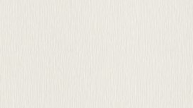 גליל טפט ראש 809008