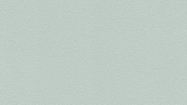 גליל טפט ראש 474954