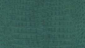 גליל טפט ראש 528718