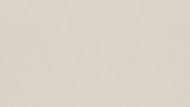 גליל טפט ראש 247428