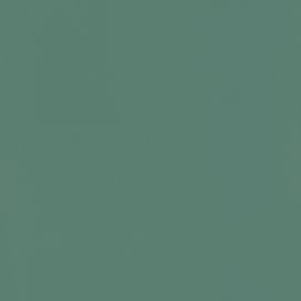 גליל טפט ראש 807615