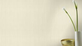 גליל טפט ראש 963229