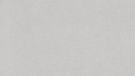 גליל טפט ראש 479348