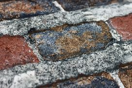 גליל טפט Rasch Factory IV 428063