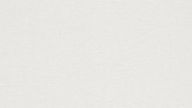 גליל טפט ראש 899023