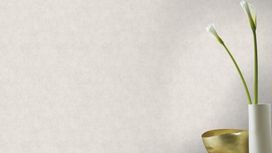 גליל טפט ראש 708073