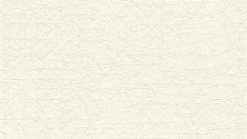 גליל טפט ראש 704327