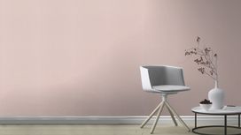 גליל טפט ראש 501148