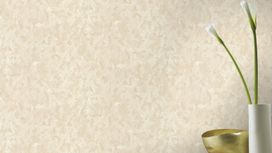 גליל טפט ראש 210309