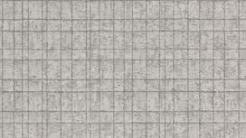 גליל טפט ראש 551327