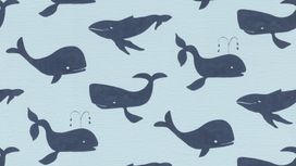 גליל טפט ראש 531510