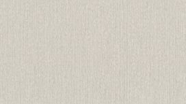 גליל טפט ראש 537154