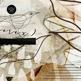 טפט אבסולוט ליין בז’