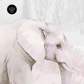 טפט פורסט וורלד קידס 5