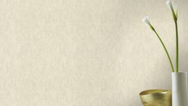 גליל טפט ראש 458039