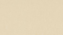 גליל טפט ראש 552799