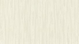 גליל טפט ראש 536300