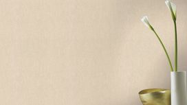 גליל טפט ראש 402339