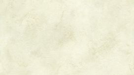 גליל טפט ראש 417074