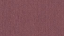 גליל טפט ראש 537185