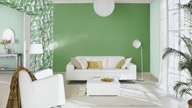 גליל טפט ראש 537109