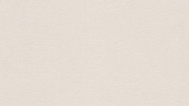 גליל טפט ראש 448641